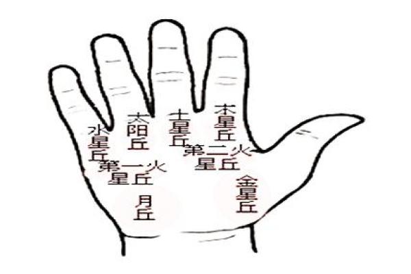 揭秘手相水星丘线纹：揭秘你的运势与性格