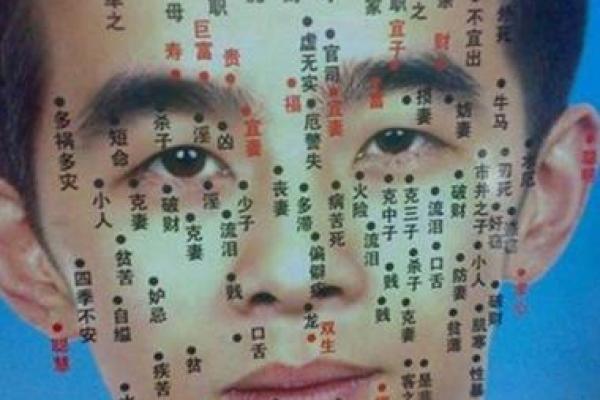 神秘痣相大揭秘：脸上颗数藏着哪些秘密？