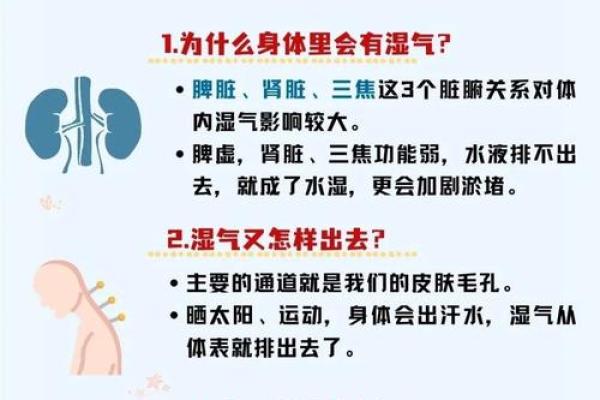 命理中的健康密码：预防疾病从了解自己开始