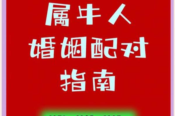 虎虎同心：属虎搭配指南，揭秘最佳伴侣法则