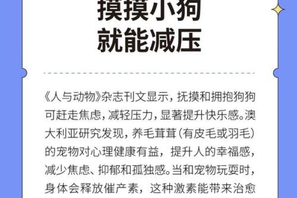 天干松青的奥秘：为什么它成为现代生活的必备良品