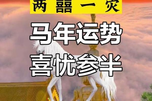 马年运势揭秘：属马的你是什么命？