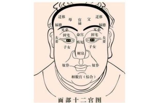 面相揭秘：牢宫藏秘密，运势好坏一望便知
