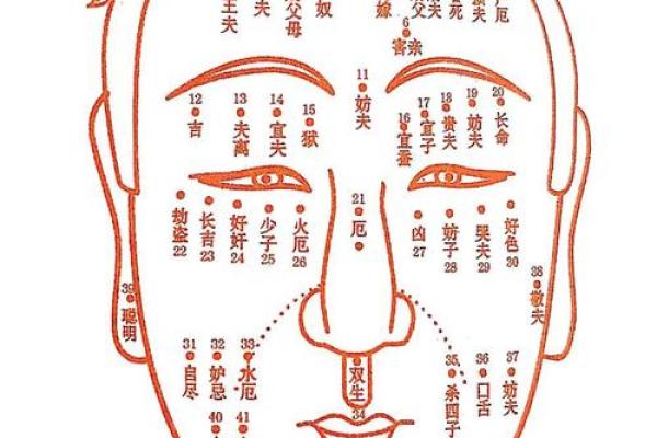 痣相解析：你的痣相暗示了哪些运势？快来对照看看