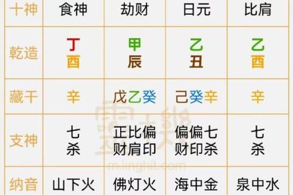 乙木天干详解：如何影响你的命运与性格