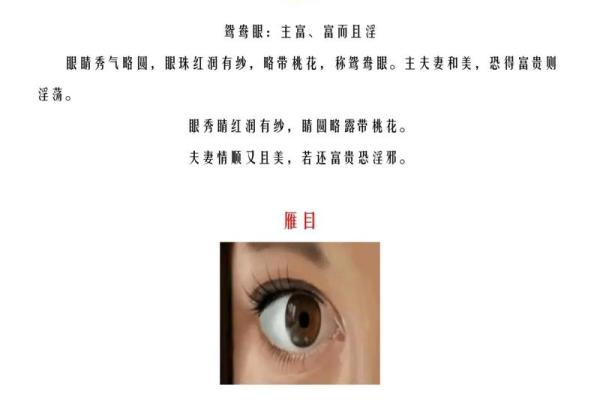 识人于面：揭秘女人男人面相的秘密，一眼看透人心
