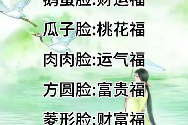 揭秘猫面相，福气满盈的面相奥秘