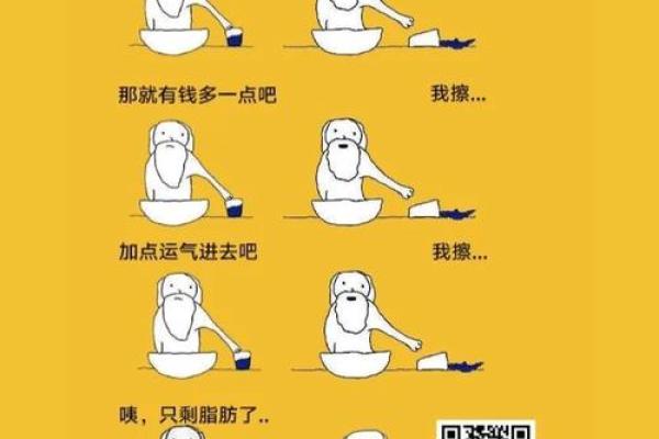 揭秘烂挑花命：你不知道的人生秘密