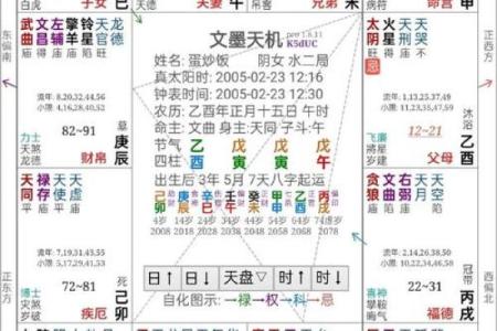 深入紫薇排盘解盘，透视你的命运密码