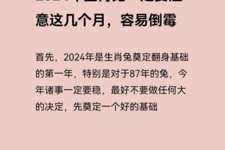 1978年运势揭秘：揭秘属兔人的独特命格魅力