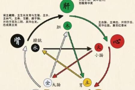 紫薇命盘与六爻排盘深度分析，让你轻松破解人生大运走势