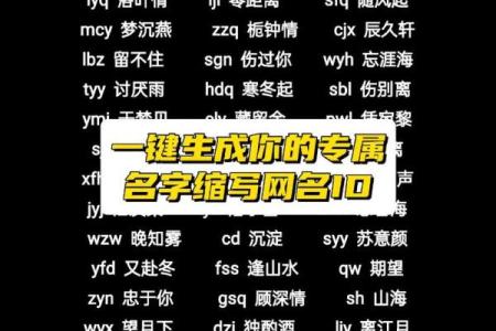 网上起名公司：打造专属于你的独特名字