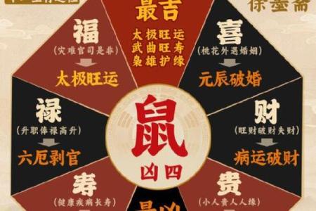鼠年黄金运势：五行鼠命，财运亨通，事业腾飞
