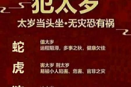 专家戴良纯揭秘命理奥秘，揭开你的运势密码