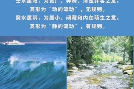 天干关逢的秘密：为何它如此重要？