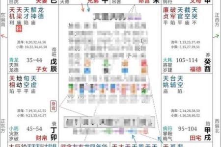 流年紫薇排盘揭秘：运势走势一览