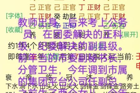 揭秘女命怀双胞胎，八字如何影响家庭生活与事业