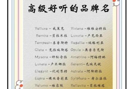 运输公司起名技巧，轻松吸引客户眼球