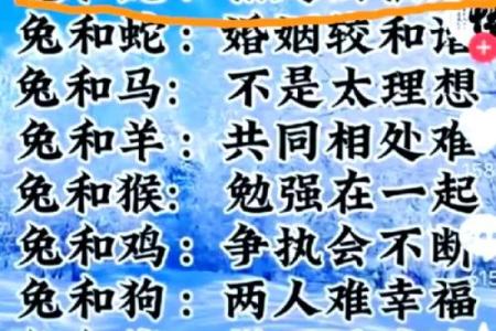 属鸡属兔情侣必看：揭秘最佳配对秘诀