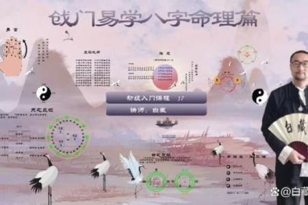 通过四柱排盘打个数字，揭开命运的神秘面纱