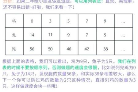 兔遇鸡缘：趣味搭配大揭秘
