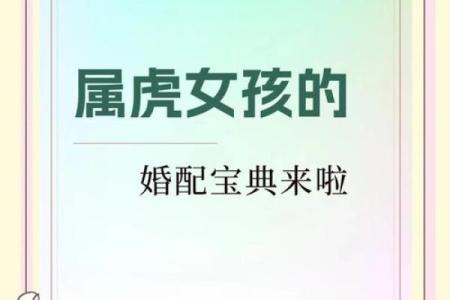 虎虎同心：属虎搭配指南，揭秘最佳伴侣法则