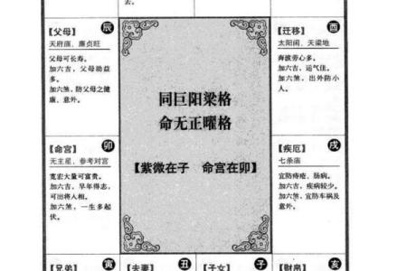 紫微排盘揭秘：如何根据命理选购理想房产