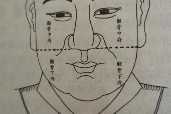 揭秘：人中梯形面相，运势亨通的秘密武器