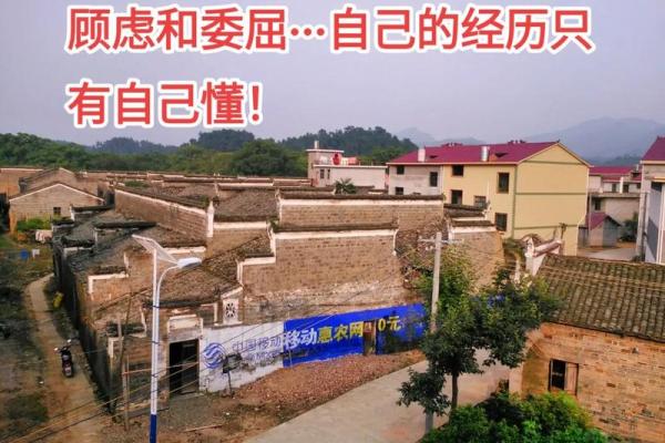 嫁什么人是命吗？揭秘婚姻的宿命之谜