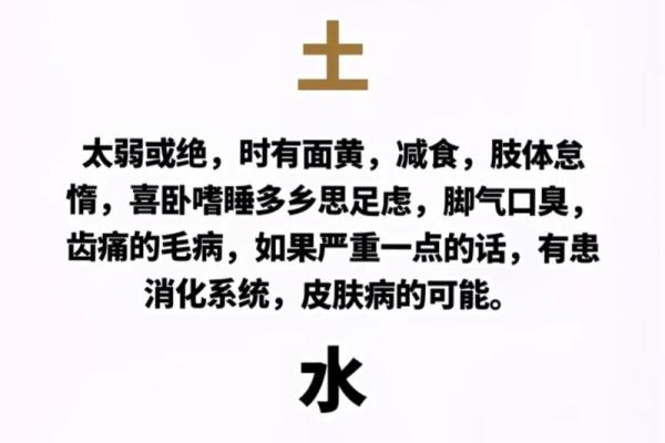龙土相生，最佳命理搭配：揭秘属龙土命与哪一命相得益彰