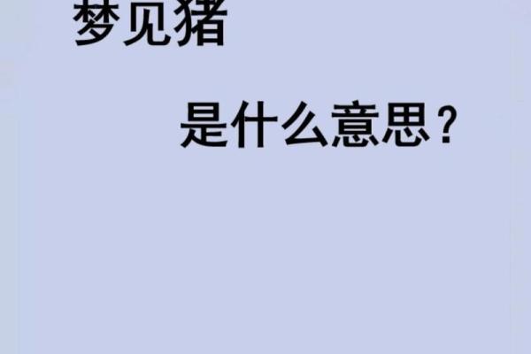猪与猪，真有缘？