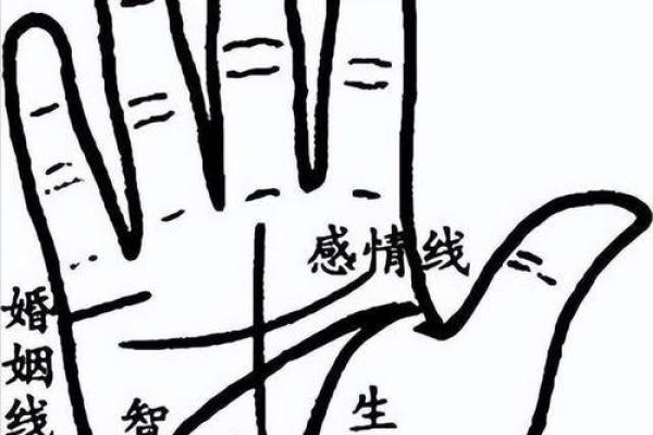 揭秘手相密码：一眼识人，手相学入门必看
