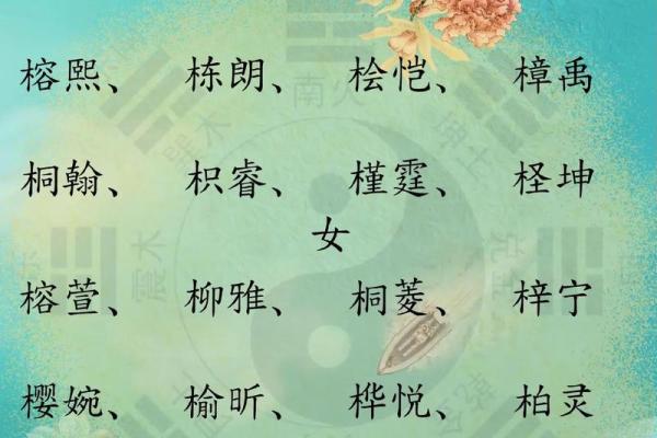 现代风水学中的木水木名字：带来事业与财富的秘密