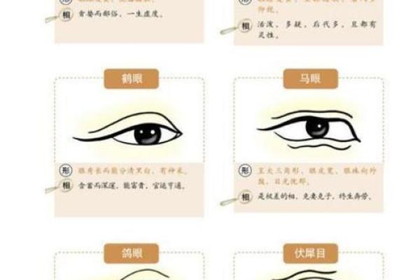 痣相识人，麻衣神相教你一眼看透人心