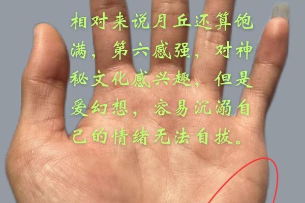 手相揭秘：一眼看穿你的运势，财运、健康、感情全掌握