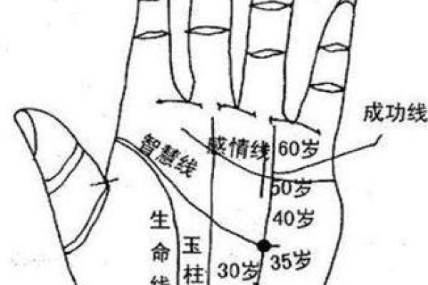 揭秘：手相算命大揭秘免费算手相，你的命运密码在这里
