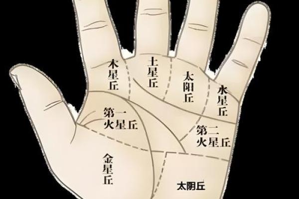手相揭秘：掌中奥秘，掌握命运的秘密钥匙