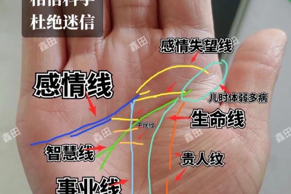 手相揭秘：掌中奥秘，掌握命运的秘密钥匙