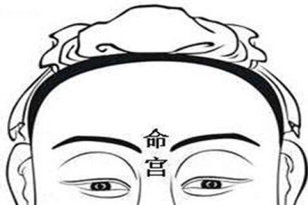 面相揭秘：命宫运势一览，揭秘你的一生财运与命运