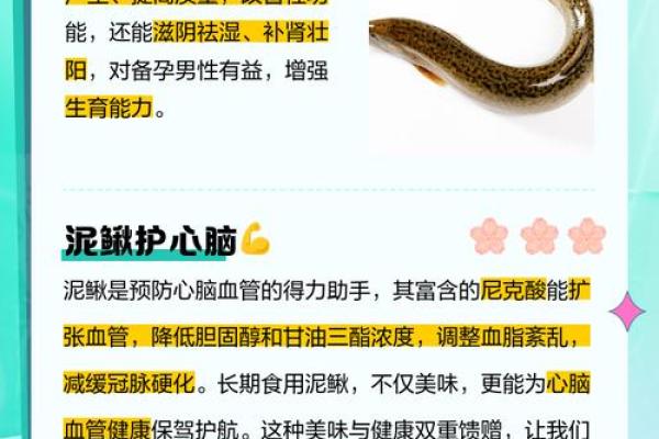 泥鳅地：揭秘风水秘术中的神奇之地，财运亨通的秘密