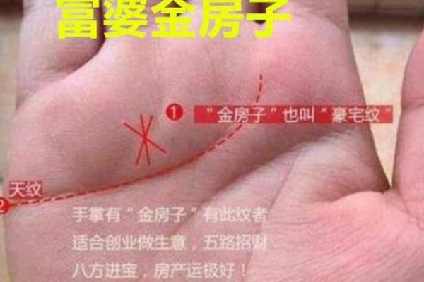 手相揭秘：冲天纹暗示大富大贵，你拥有吗？
