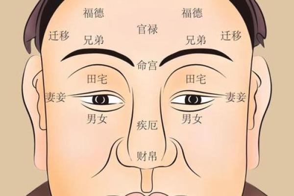 揭秘面相：如何一眼看穿心理年龄，年龄的秘密都在这里
