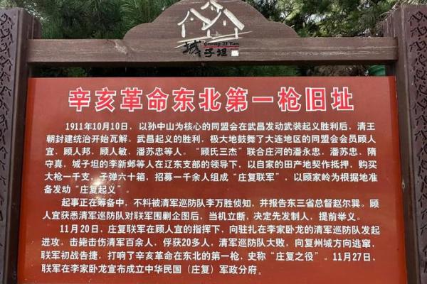 辛亥是年，揭秘你的宿命传奇