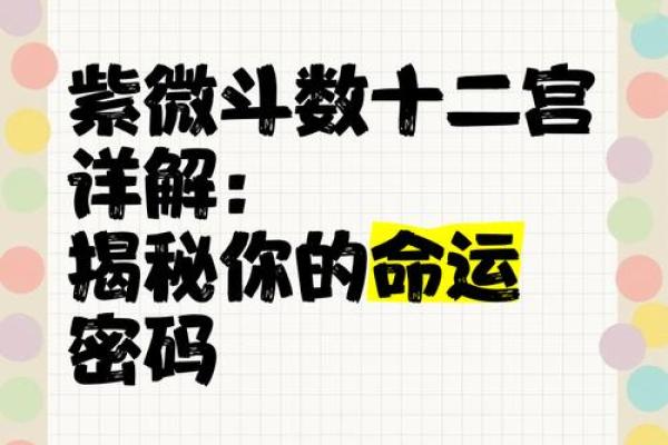 卜易居梅花易数在线排盘：精准解读你的命运密码