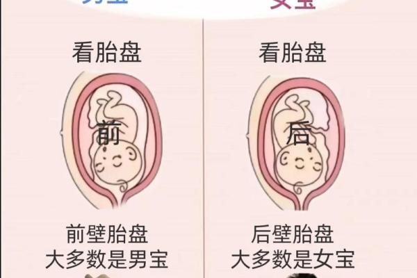 手相揭秘：一招看穿宝宝性别，准到不可思议