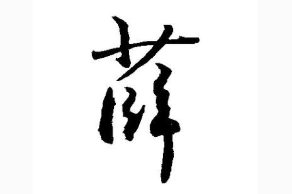 如何为薛姓宝宝起个与众不同的名字？
