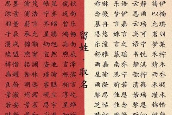 小孩起名热门榜单