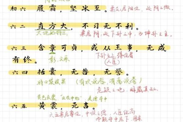 从天干到阴阳，解析古老哲学如何指导现代生活