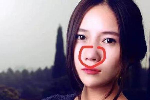 通天鼻梁：揭秘财富与权力的神秘面相之谜