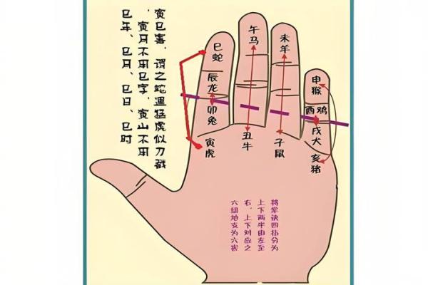 戊戍月命理：如何破解人生中的难关与挑战？